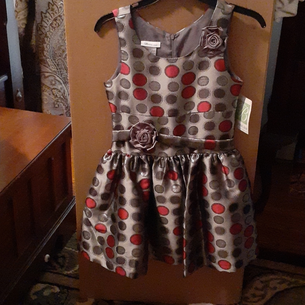 New Bonnie Jean dress